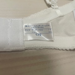 ブライダルインナー　2点セットの画像