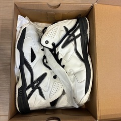 バスケットボール　バッシュの画像