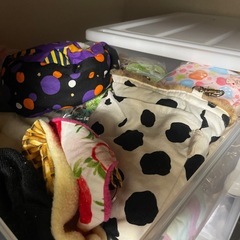 早い物勝ちフクロモモンガ新品ポーチの画像