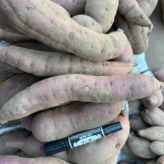 【紅はるか】さつまいも（土付き）1kg (約2〜3本)300円🍠の画像