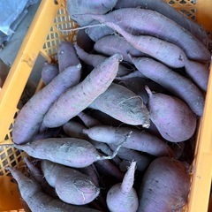 【紅はるか】さつまいも（土付き）1kg (約2〜3本)300円🍠の画像