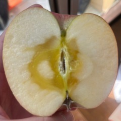 家庭用　フジ　10キロの画像