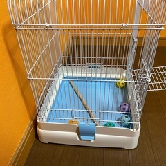 バードケージの画像