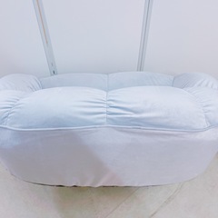 12DG1 ソファ 座椅子 2人掛け グレー　貝殻 シェルの画像