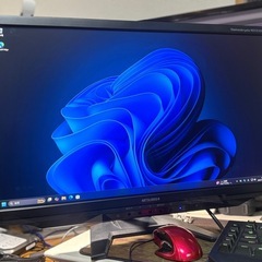 23インチ 液晶モニター MITSUBISHI RDT233WX-S 液晶パネル交換済みの画像