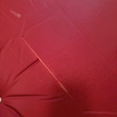 Coleman インフレーターマット　訳ありの画像