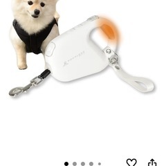 ⭕ヒーター付きリード4.3m⭕の画像