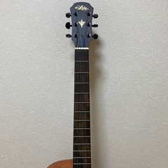 ARIA エレアコの画像