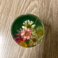 水中花　旧車
の画像