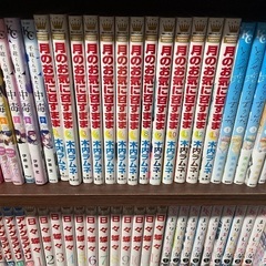 少女漫画‼︎の画像