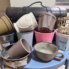 いろんなプランターたくさん