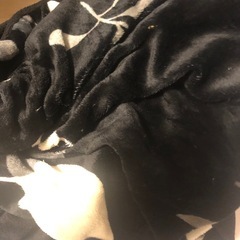 コタツ　コタツ布団付きの画像