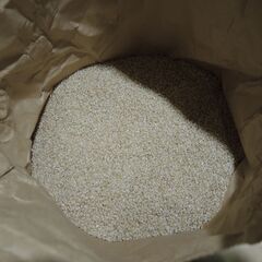 令和7年、南あわじ市産、コシヒカリ玄米30kg売ります。の画像