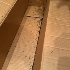 クリスマスツリー　セットの画像