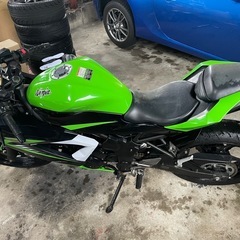 カワサキ  kawasaki ニンジャ250SLの画像