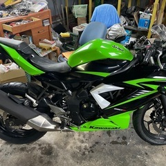 カワサキ  kawasaki ニンジャ250SLの画像