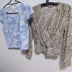 [決定]洋服 レディース Sの画像