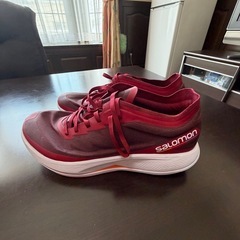 サロモン　　28.5の画像