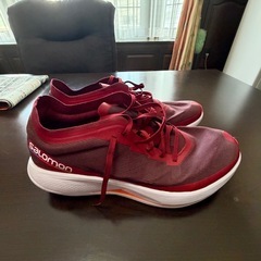 サロモン　　28.5の画像