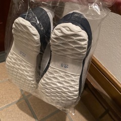 22.0 上履き
の画像