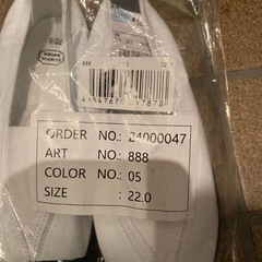 22.0 上履き
の画像