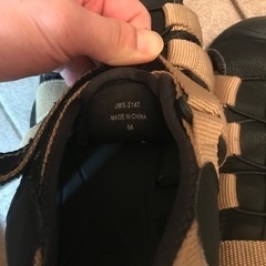 靴　あげるの画像