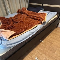 ダブルベットの画像