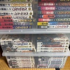 ベルセルク漫画1巻〜43巻の画像