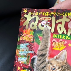 ねこぱんち6冊セットの画像