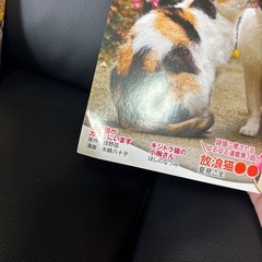 ねこぱんち6冊セットの画像