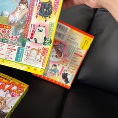 ねこぱんち6冊セットの画像