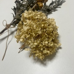 ドライフラワーの画像
