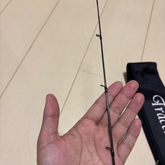 ベイトリール    ロッド
の画像