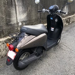 ホンダ　トゥデイ　AF67  インジェクション車　低走行の画像