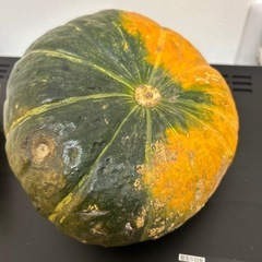カボチャの画像