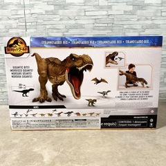 ティラノサウルスの画像