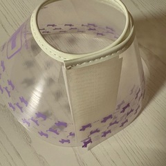 エリザベスカラーの画像