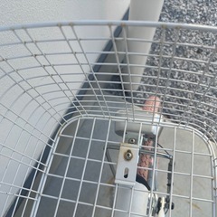 未使用:22インチ　子供用自転車の画像