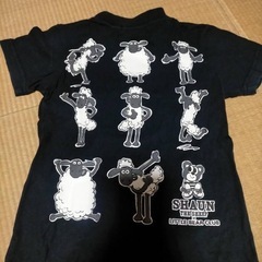ひつじのショーン　半袖　長ズボンセットの画像