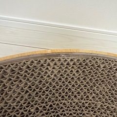 猫壱　バリバリボウル　交換用1個付き
　の画像