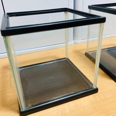 【募集停止中】小型水槽２つの画像