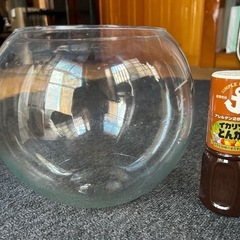 丸型水槽の画像