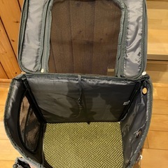 猫キャリーリュックの画像