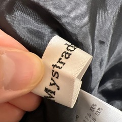 マイストラーダ　スカートの画像