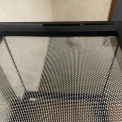 爬虫類　グラステラリウムナノの画像