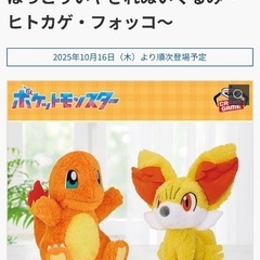 美品 ポケモン もふぐっとぬいぐるみ ヒトカゲの画像