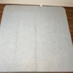 【美品/早い者勝ち】ニトリ保温ラグマットの画像