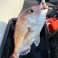 ジョイクラフトボート2馬力エンジン付の画像