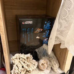 60㎝水槽台　LEDライト　ヒーター　海水魚の画像