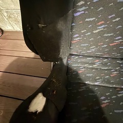 レカロ シートの画像